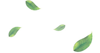 Folhas decorativas topo